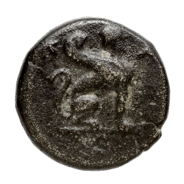 Caunus Konuk 1998 pl. 50, B, аверс, bnf-iris