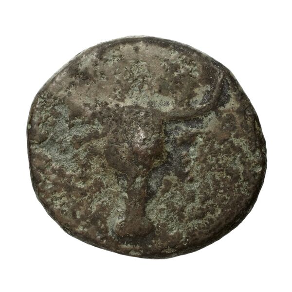 Polyrhenium Stefanakis 2013 39-42, аверс, bnf-iris