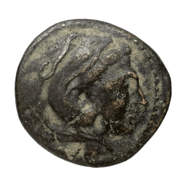 Cassander Macedon AMNG III.2 1-2, аверс, bnf-iris