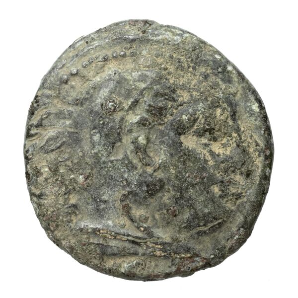 Cassander Macedon AMNG III.2 1-2, аверс, bnf-iris