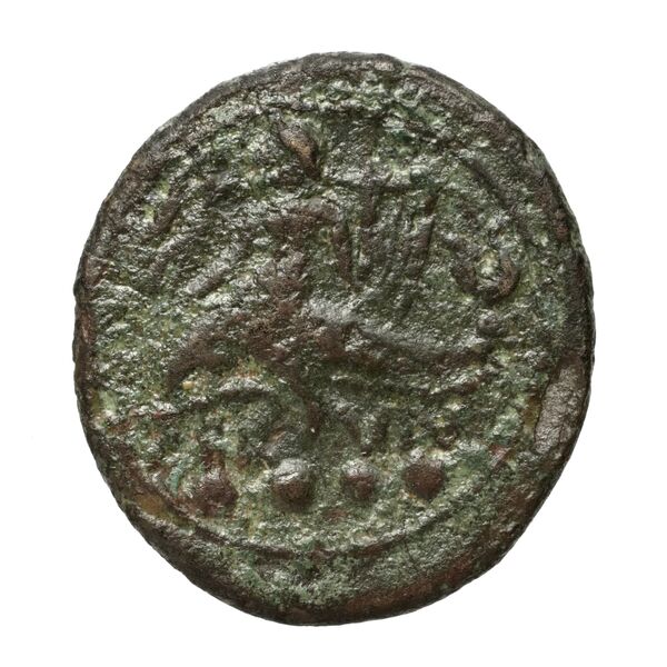 реверс Brundisium Historia Numorum Italy 750