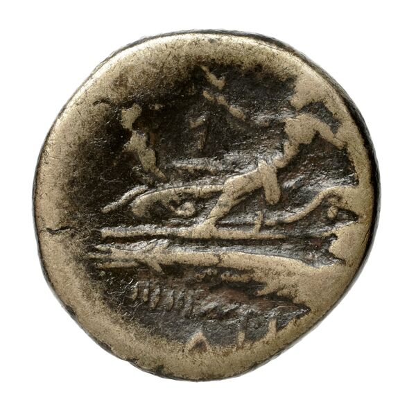 Aradus Duyrat 2005 2237-2492, реверс, bnf-iris