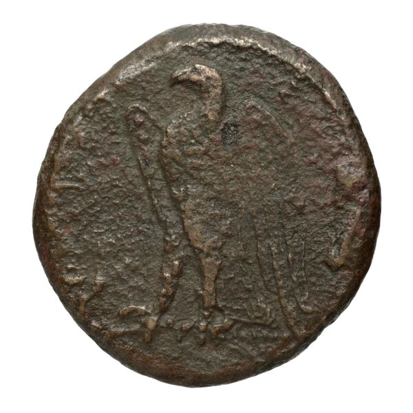 Hicetas Syracuse Puglisi 2009 326, реверс, bnf-iris