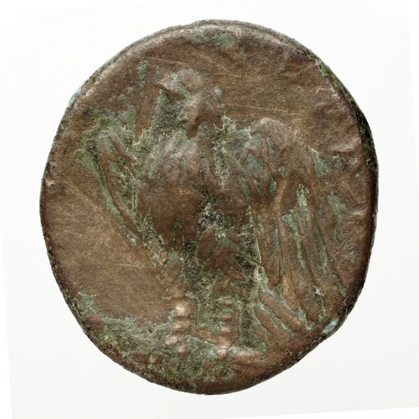 Hicetas Syracuse Puglisi 2009 326, реверс, bnf-iris