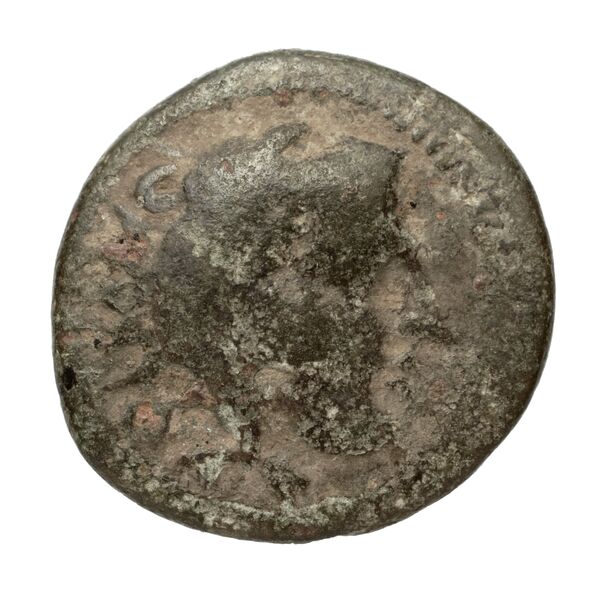 Amyntas III of Macedon Macedon SNG ANS 100-109, аверс, bnf-iris