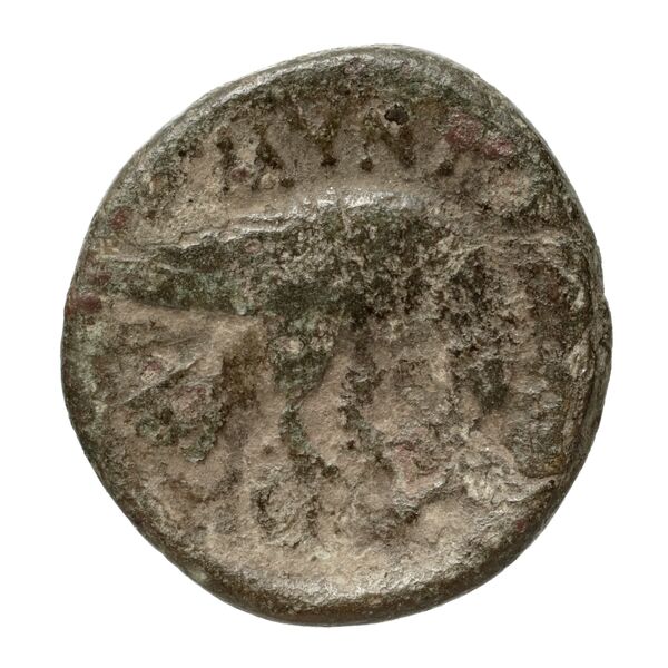 Amyntas III of Macedon Macedon SNG ANS 100-109, реверс, bnf-iris