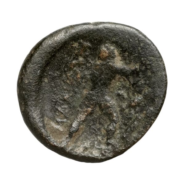 реверс Antigoneia BMC Mantineia 24