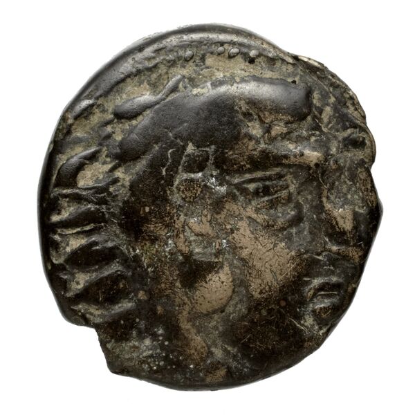 Amyntas III of Macedon Macedon SNG ANS 100-109, аверс, bnf-iris