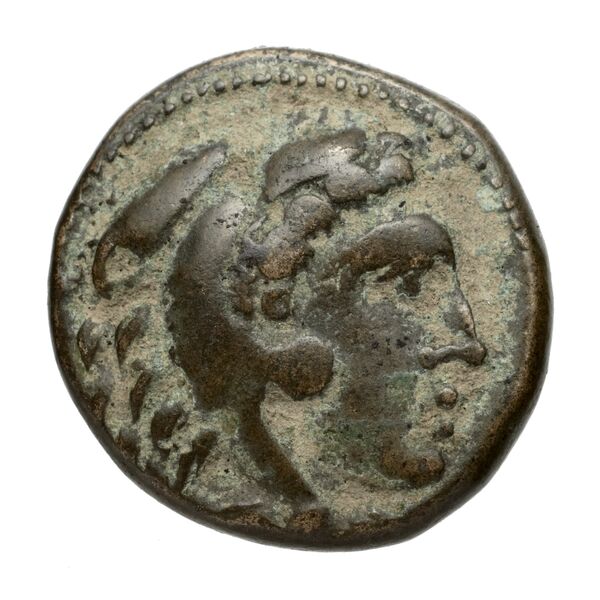 Amyntas III of Macedon Macedon SNG ANS 100-109, аверс, bnf-iris