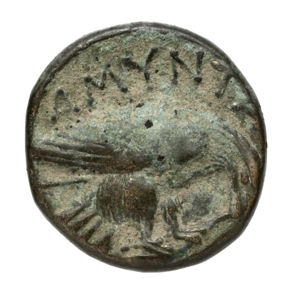 Amyntas III of Macedon Macedon SNG ANS 100-109, реверс, bnf-iris