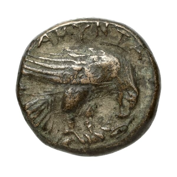 Amyntas III of Macedon Macedon SNG ANS 100-109, реверс, bnf-iris