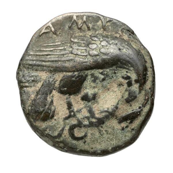 Amyntas III of Macedon Macedon SNG ANS 100-109, реверс, bnf-iris