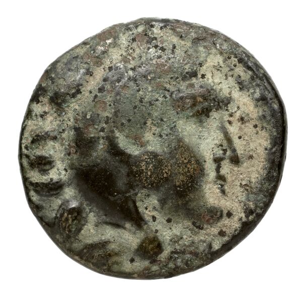 Amyntas III of Macedon Macedon SNG ANS 100-109, аверс, bnf-iris