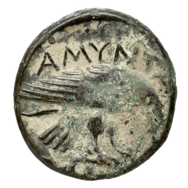 Amyntas III of Macedon Macedon SNG ANS 100-109, реверс, bnf-iris