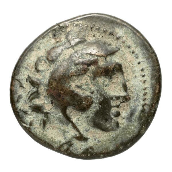 Amyntas III of Macedon Macedon SNG ANS 100-109, аверс, bnf-iris
