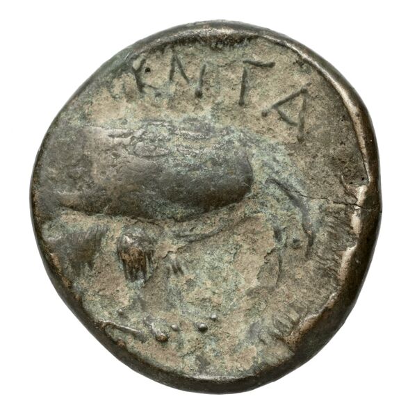 Amyntas III of Macedon Macedon SNG ANS 100-109, реверс, bnf-iris