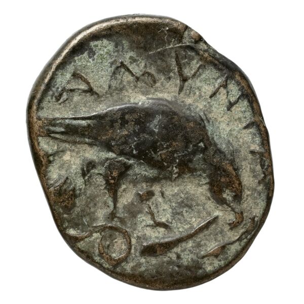 Amyntas III of Macedon Macedon SNG ANS 100-109, реверс, bnf-iris