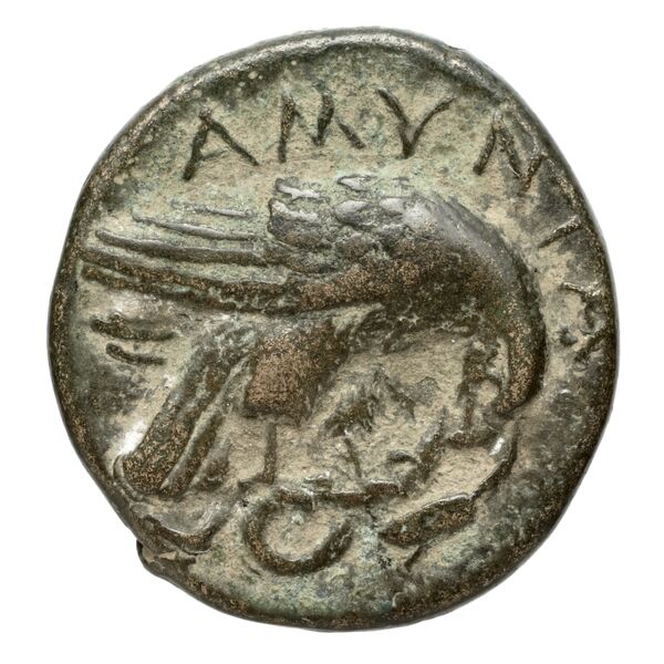 Amyntas III of Macedon Macedon SNG ANS 100-109, реверс, bnf-iris