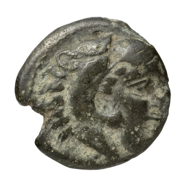 Amyntas III of Macedon Macedon SNG ANS 100-109, аверс, bnf-iris
