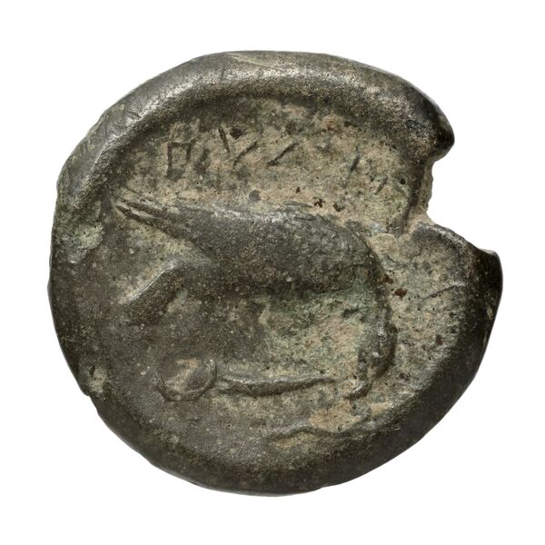Amyntas III of Macedon Macedon SNG ANS 100-109, реверс, bnf-iris