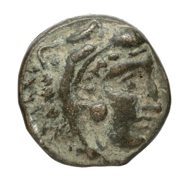 Amyntas III of Macedon Macedon SNG ANS 100-109, аверс, bnf-iris
