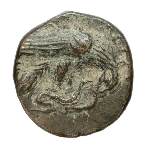Amyntas III of Macedon Macedon SNG ANS 100-109, реверс, bnf-iris