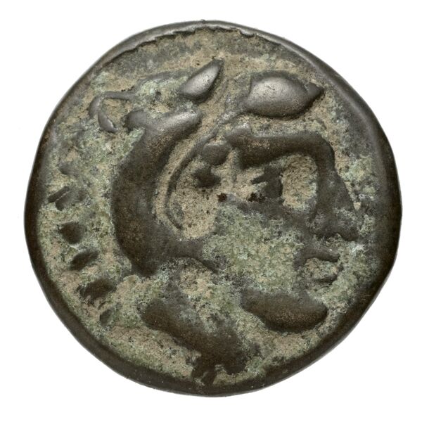 Amyntas III of Macedon Macedon SNG ANS 100-109, аверс, bnf-iris