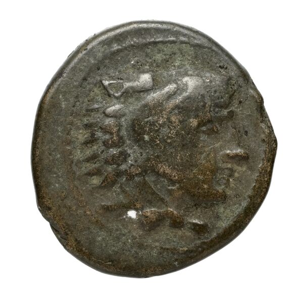Amyntas III of Macedon Macedon SNG ANS 100-109, аверс, bnf-iris