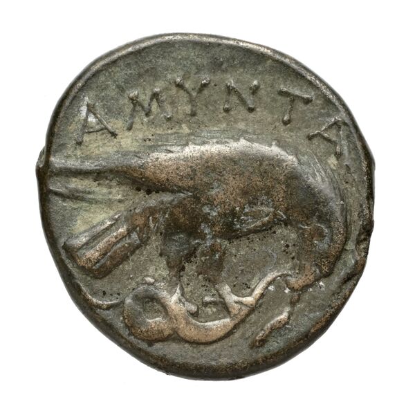 Amyntas III of Macedon Macedon SNG ANS 100-109, реверс, bnf-iris