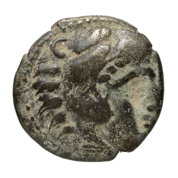 Amyntas III of Macedon Macedon SNG ANS 100-109, аверс, bnf-iris