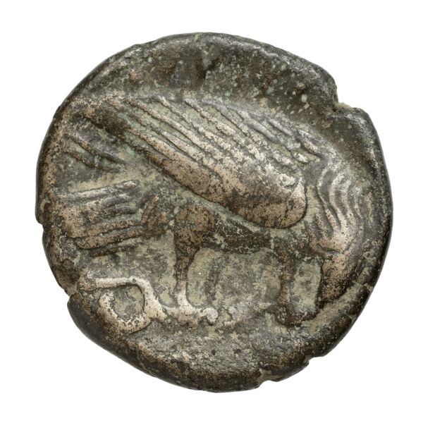 Amyntas III of Macedon Macedon SNG ANS 100-109, реверс, bnf-iris