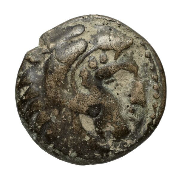 Amyntas III of Macedon Macedon SNG ANS 100-109, аверс, bnf-iris