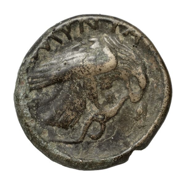 Amyntas III of Macedon Macedon SNG ANS 100-109, реверс, bnf-iris