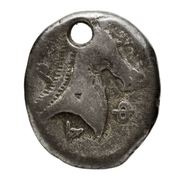 реверс Pharsalus Lavva 2001 A. I