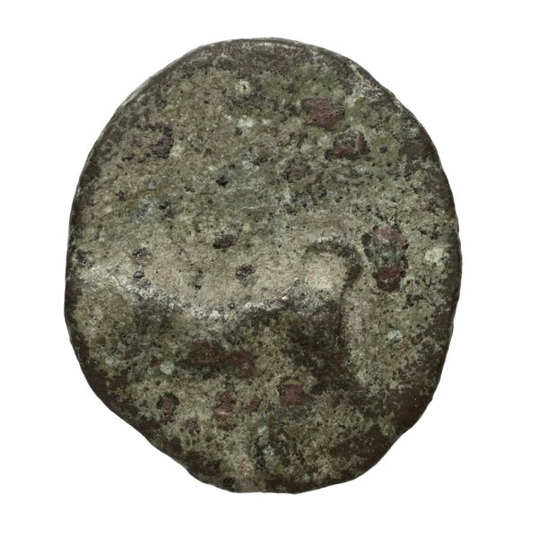 Phlius BMC Phlius 13-7, аверс, bnf-iris
