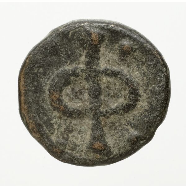 Phlius BMC Phlius 13-7, реверс, bnf-iris