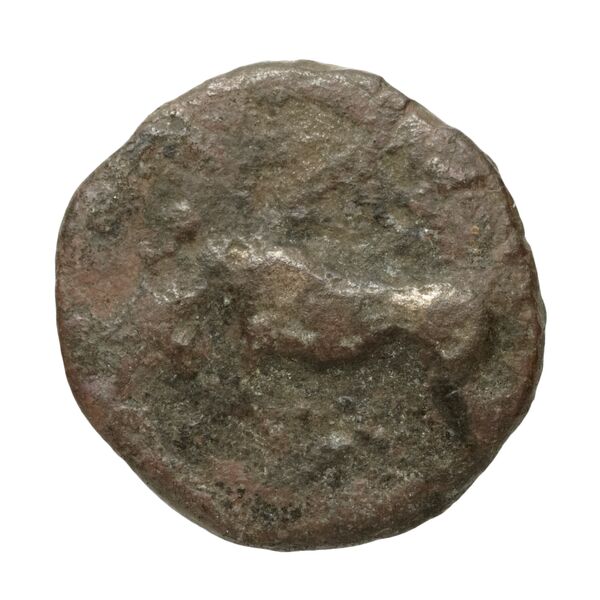 Phlius BMC Phlius 13-7, аверс, bnf-iris