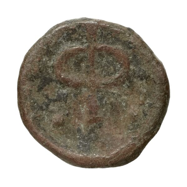 Phlius BMC Phlius 13-7, реверс, bnf-iris