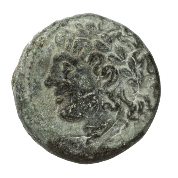 Nuceria Historia Numorum Italy 2438-46, аверс, bnf-iris