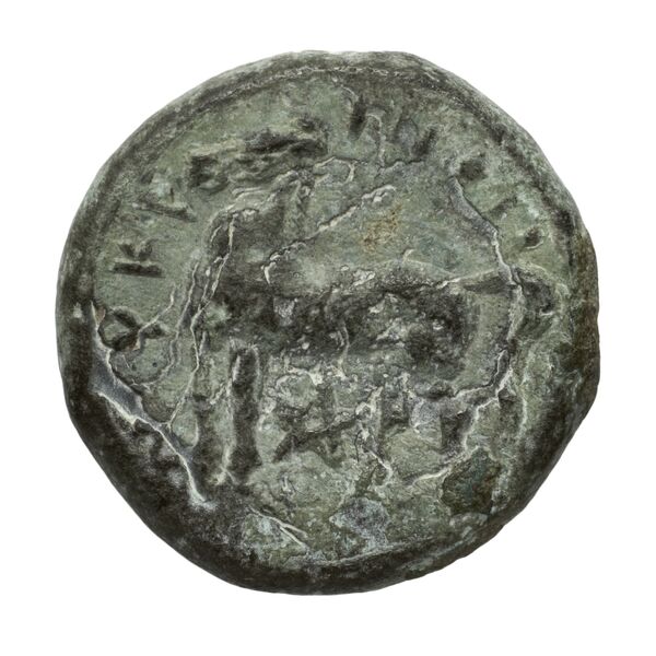 Nuceria Historia Numorum Italy 2438-46, реверс, bnf-iris