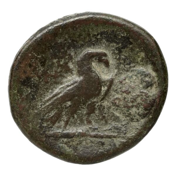 Amorium Katsari 2012 A52-82, реверс, bnf-iris