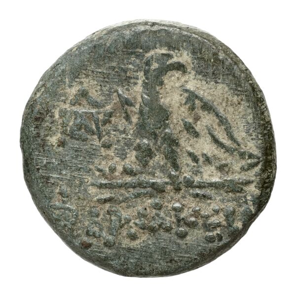 Amisus Waddington 1925 15, реверс, bnf-iris