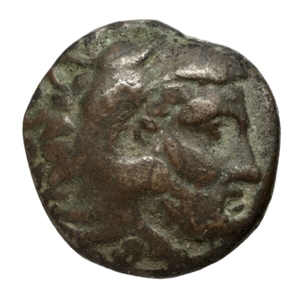 Amyntas III of Macedon Macedon SNG ANS 87-93, аверс, bnf-iris