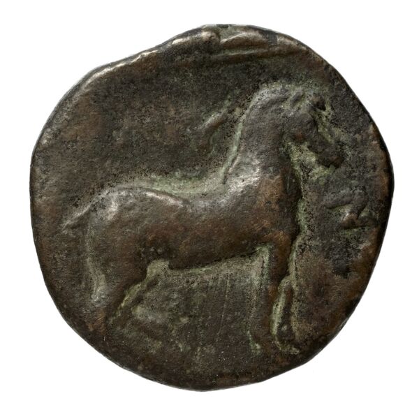 Amyntas III of Macedon Macedon SNG ANS 87-93, реверс, bnf-iris