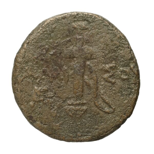Amisus Waddington 1925 29, реверс, bnf-iris