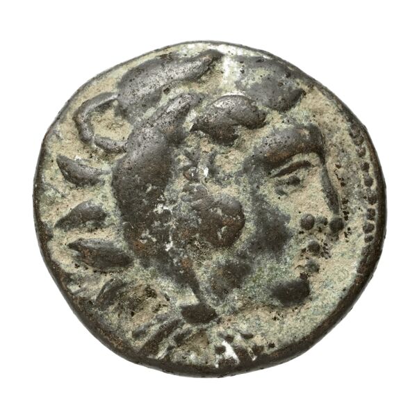Amyntas III of Macedon Macedon SNG ANS 100-109, аверс, bnf-iris