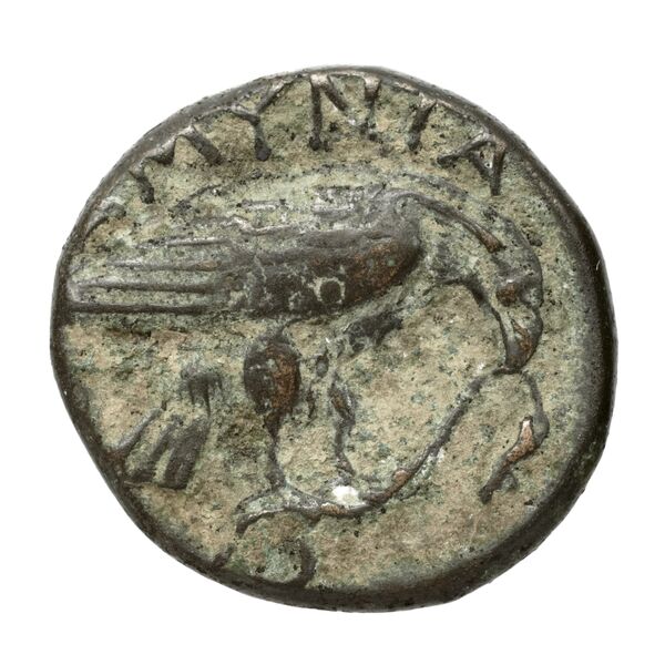 Amyntas III of Macedon Macedon SNG ANS 100-109, реверс, bnf-iris