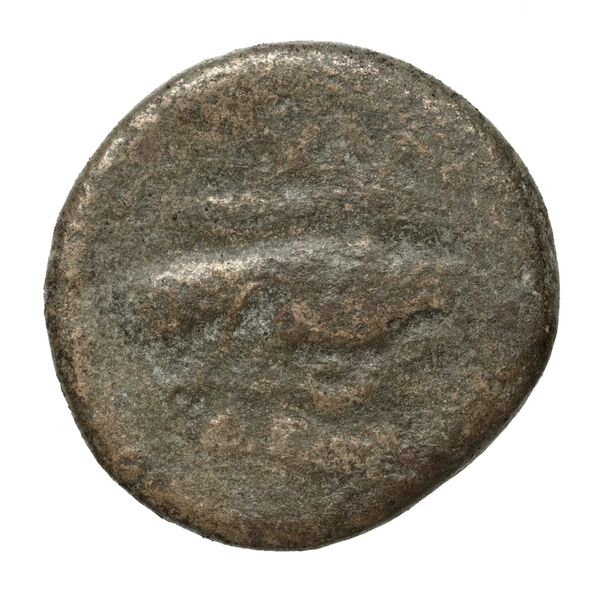 реверс Chalcis Picard 1979 Series I group II issue 31-41 bronze