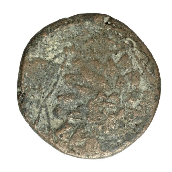 Amisus Waddington 1925 44, аверс, bnf-iris