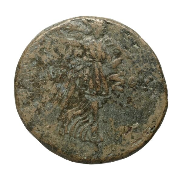 Amisus Waddington 1925 44, реверс, bnf-iris